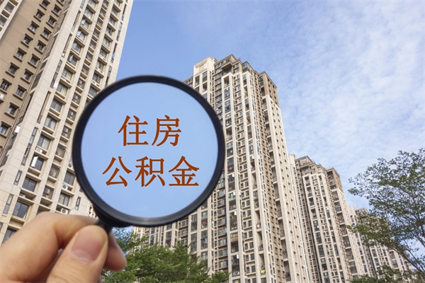济源帮提取公积金是不是诈骗（那些帮人提取公积金的机构可信吗）